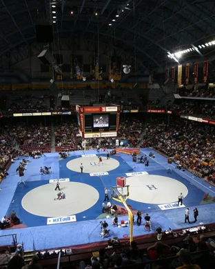Extreme Dwarfanators Wrestling