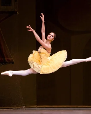 Nutcracker! Magical Christmas Ballet